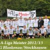 A-Liga Meisterschaft 2013